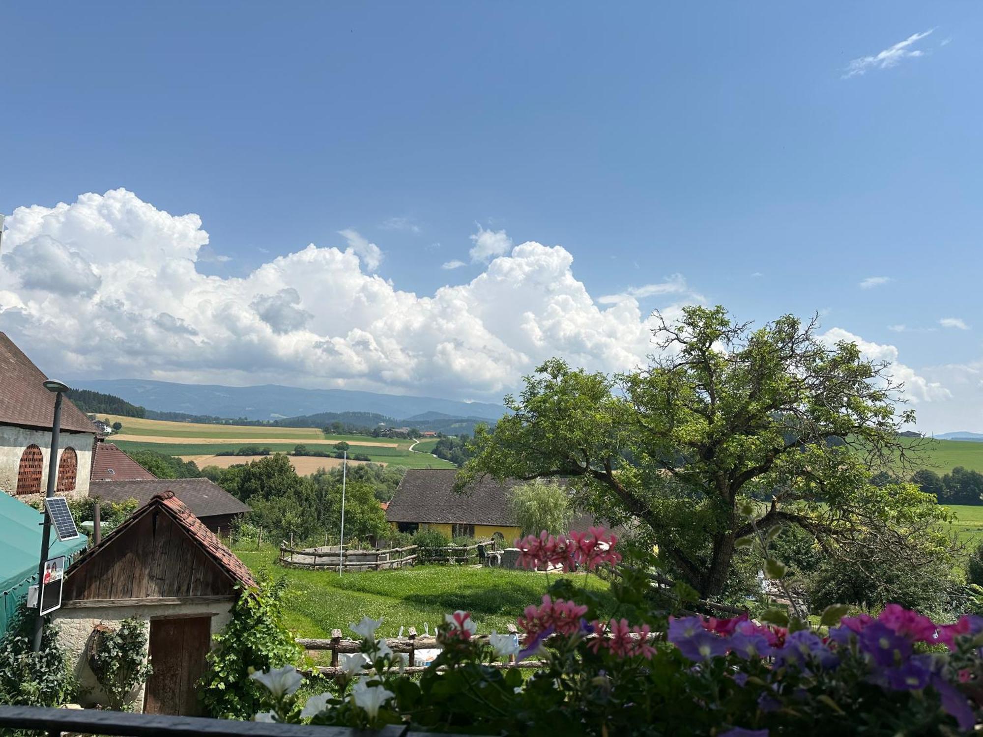 Gasthof Winkelwirt Althofen  Exteriör bild